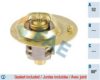 FAE 5320588 Thermostat, coolant